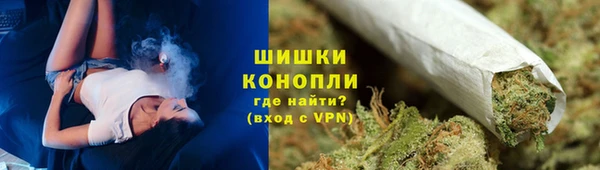 твердый Новозыбков
