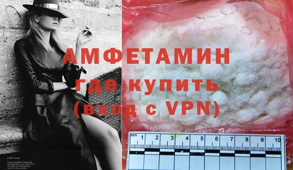 твердый Новозыбков