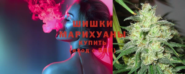 твердый Новозыбков