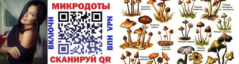 где найти   Торжок  Галлюциногенные грибы Magic Shrooms 